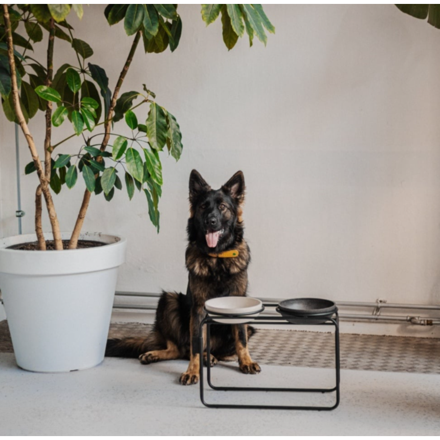 Butler Voerbakstandaard Zwart (zonder voerbak) Hond