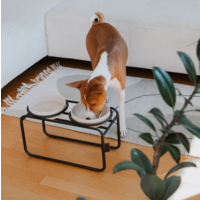 Butler Voerbakstandaard Zwart (zonder voerbak) Hond