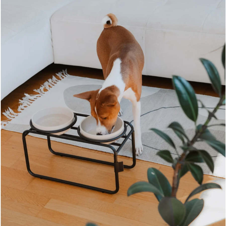 Butler Voerbakstandaard Zwart (zonder voerbak) Hond