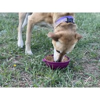 Garden of Eatin' Tipsy Bowl