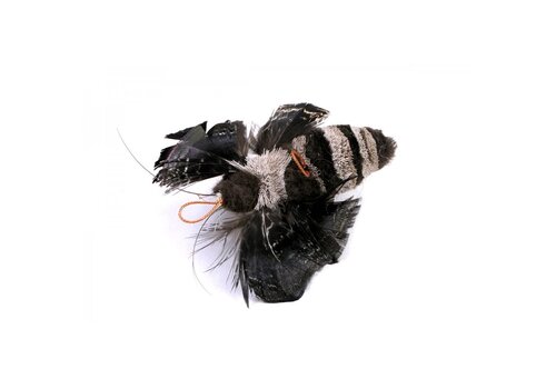 Tabby Tijger Nachtvlinder