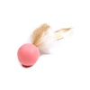 Ping-Pong Haasje