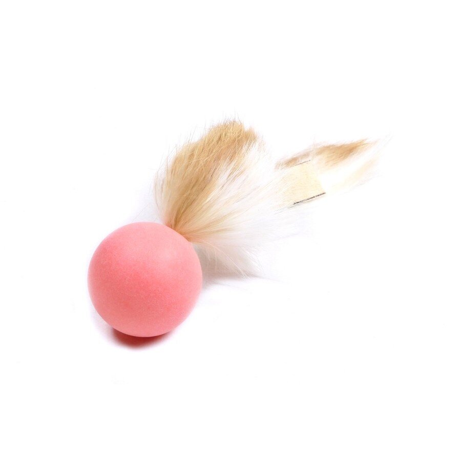 Ping-Pong Haasje