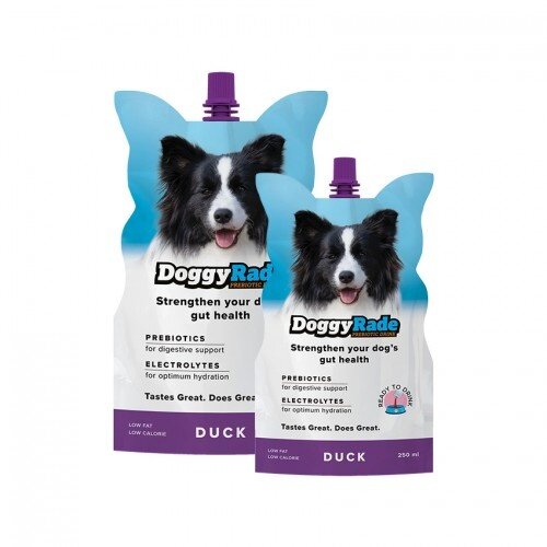 Doggyrade Isotone Drank met eend