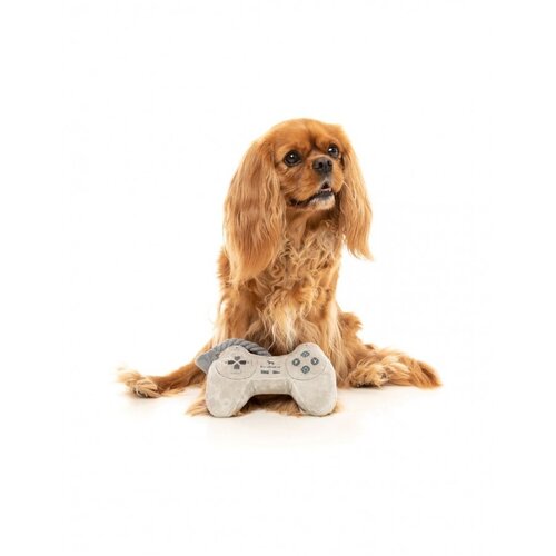 FuzzYard Retro Pawstation Controller