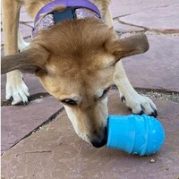 Icecream Cone Durable Pup-X Rubber Chew