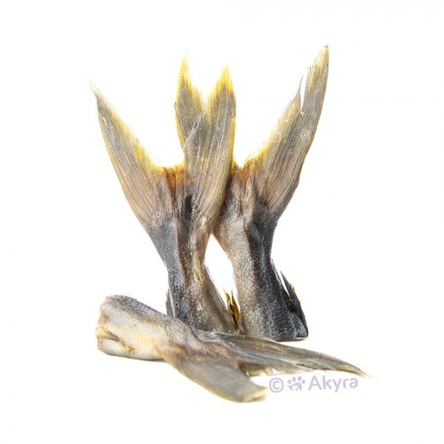 Akyra Kingfish staarten 250 gram