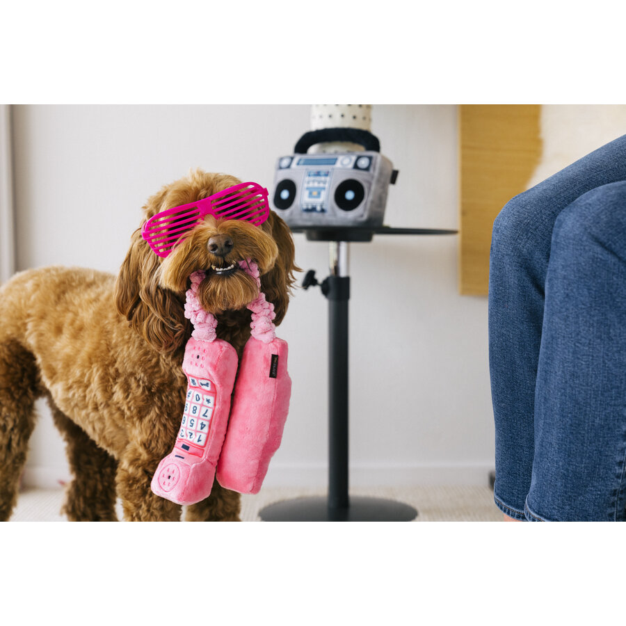 80's Classics Paw Talk