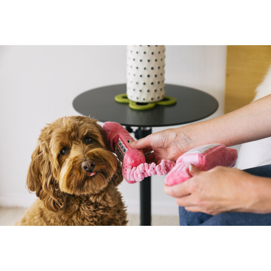 80's Classics Paw Talk