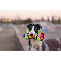 90's Classics Kickflippin' K9