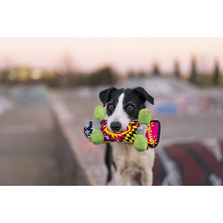 90's Classics Kickflippin' K9