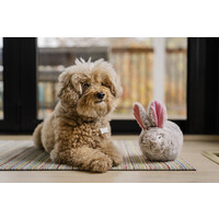 Forest Friends Baxter the Bunny