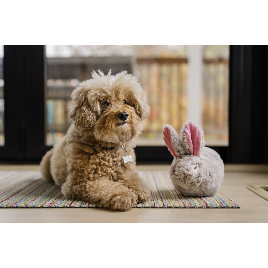 Forest Friends Baxter the Bunny