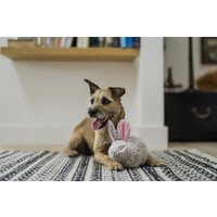 Forest Friends Baxter the Bunny
