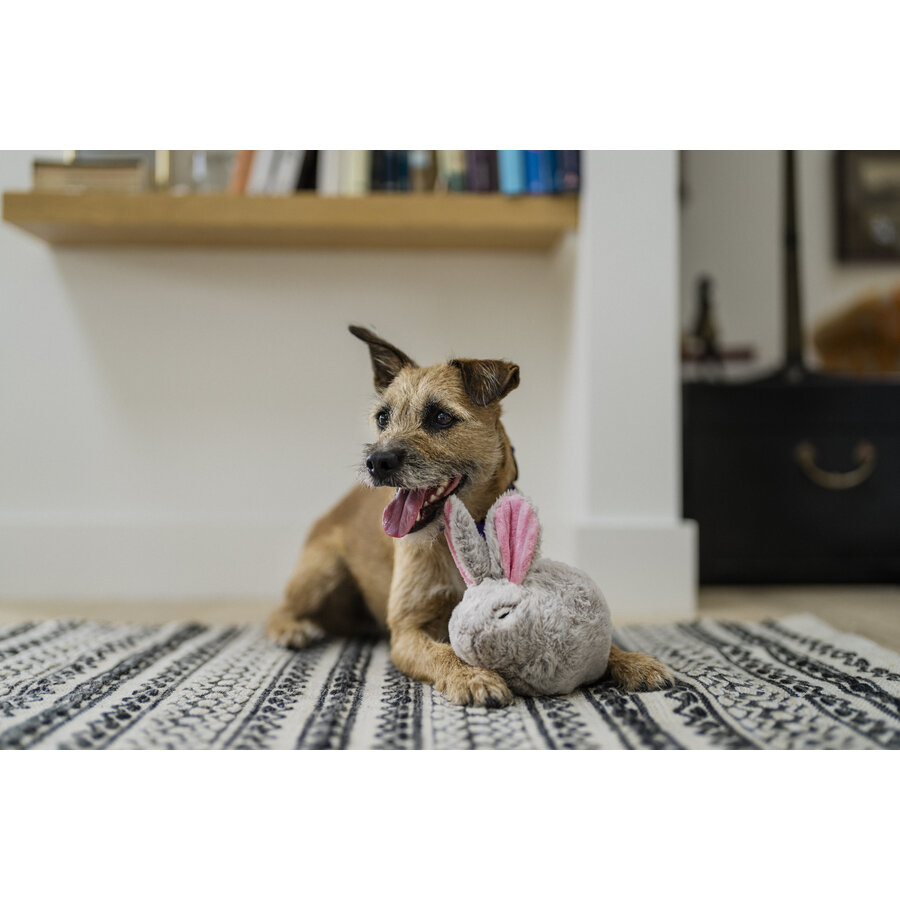 Forest Friends Baxter the Bunny