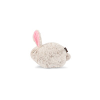 Forest Friends Baxter the Bunny