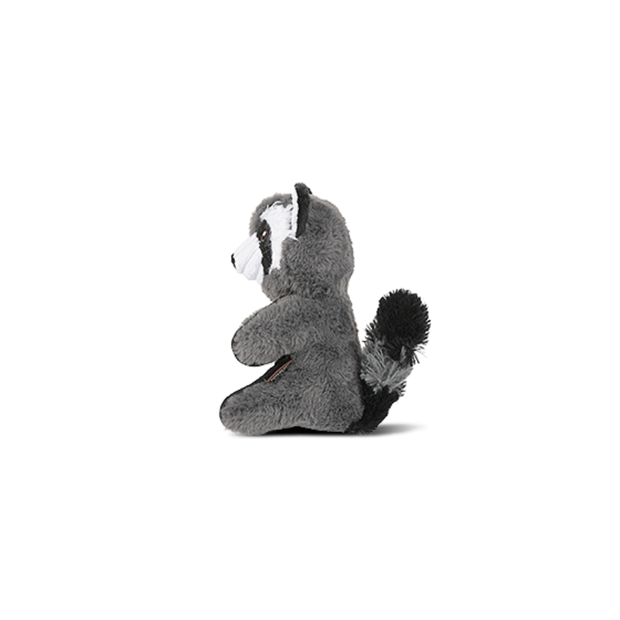 Forest Friends Robby the Raccoon