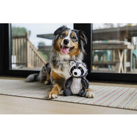 Forest Friends Robby the Raccoon