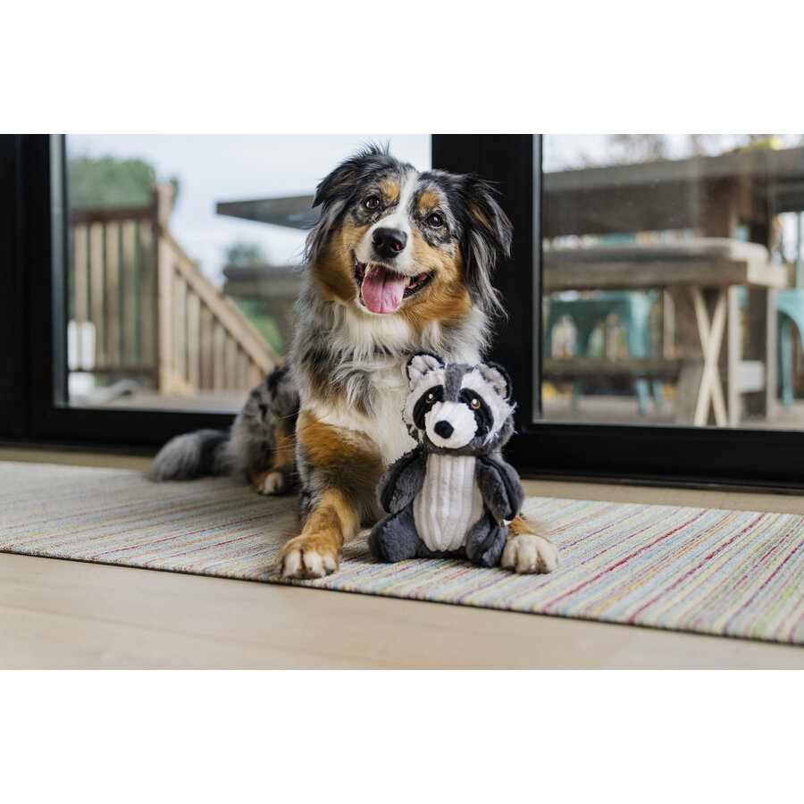 Forest Friends Robby the Raccoon