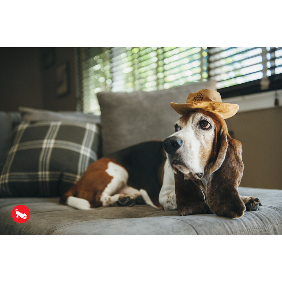 Mutt Hatter Sheriff Hat