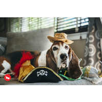 Mutt Hatter Sheriff Hat