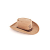 Mutt Hatter Sheriff Hat