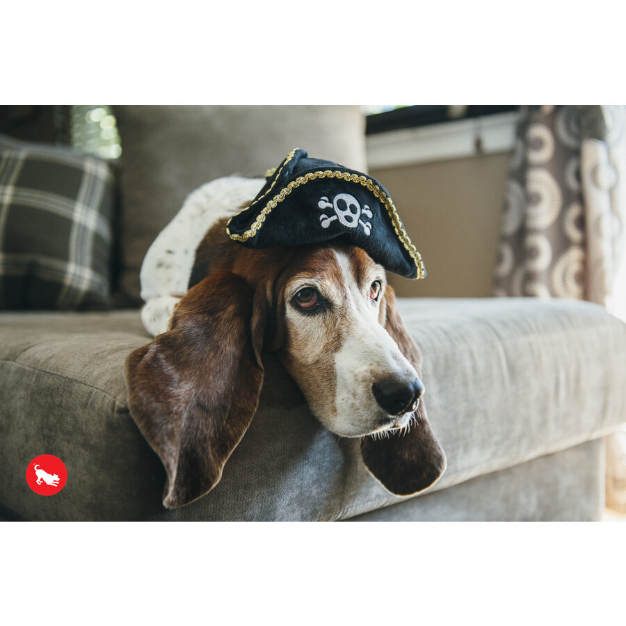 Mutt Hatter Pirate Hat