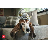 Mutt Hatter Viking Hat