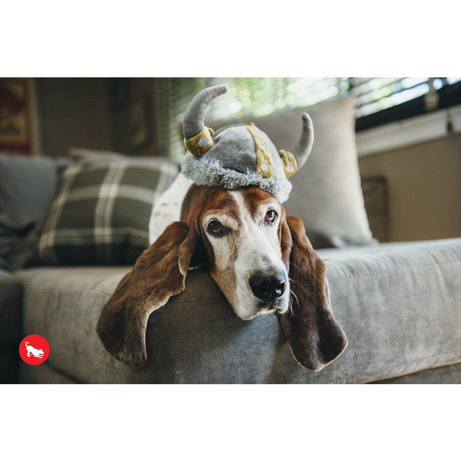 Mutt Hatter Viking Hat