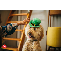 Mutt Hatter Leprechaun Hat