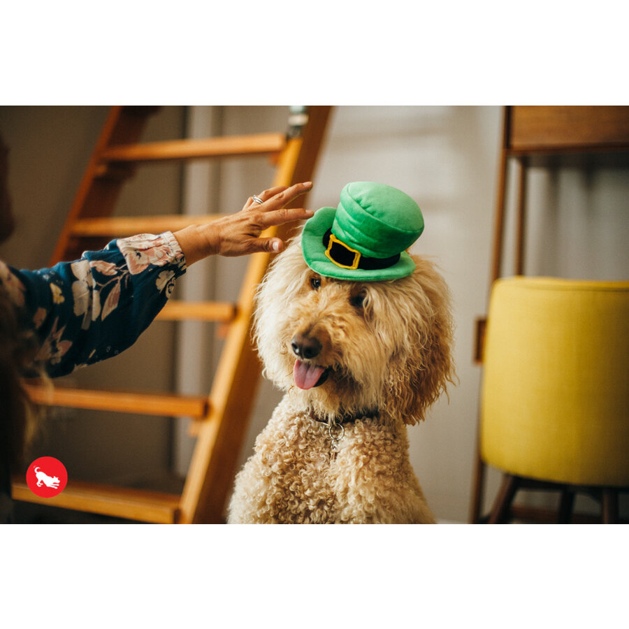 Mutt Hatter Leprechaun Hat