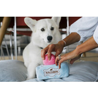 Pup Cup Cafe Mutt-a-rons