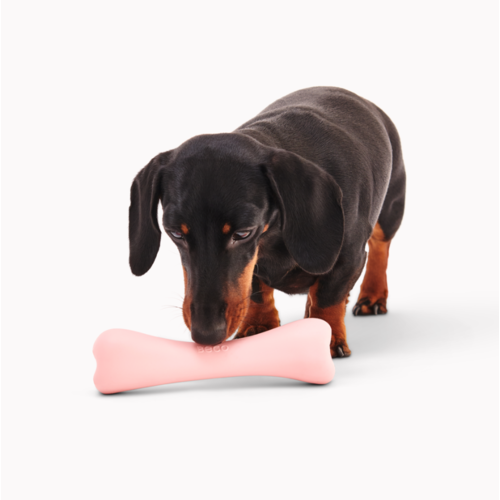 Beco Pets Treat Bone