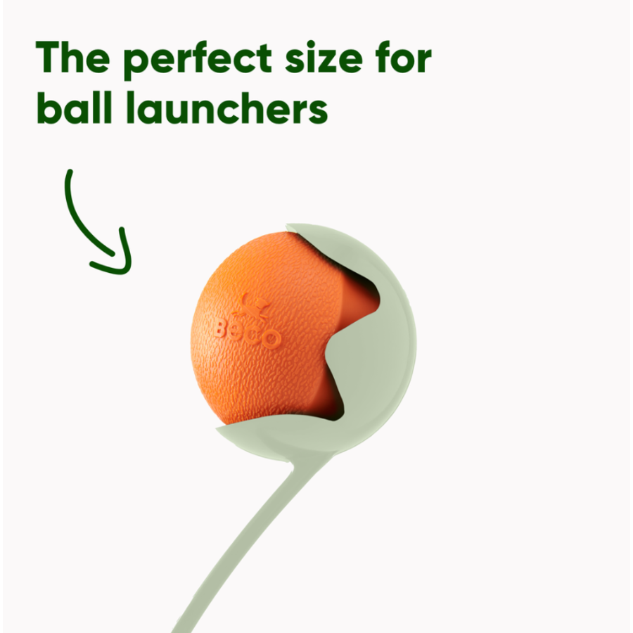 Fetch Ball