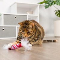 2-Pack Lit Donut & Peppermint Candy
