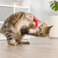 2-Pack Santa Hat & Sweet Thing Candy