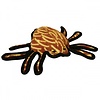 Desert Spider