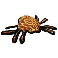 Desert Spider