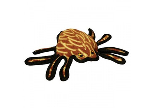 Desert Spider