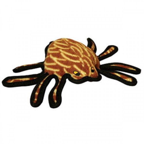 Desert Spider