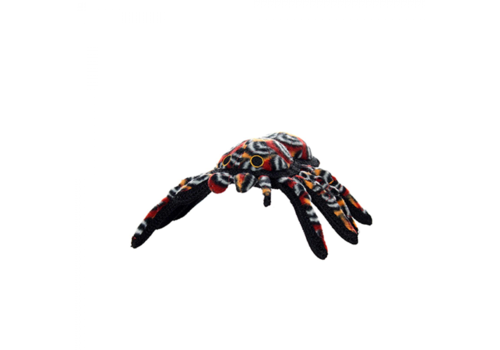 Desert Tarantula