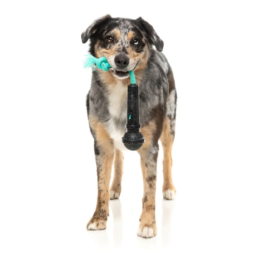 Mic Drop - Interactive Chew Toy