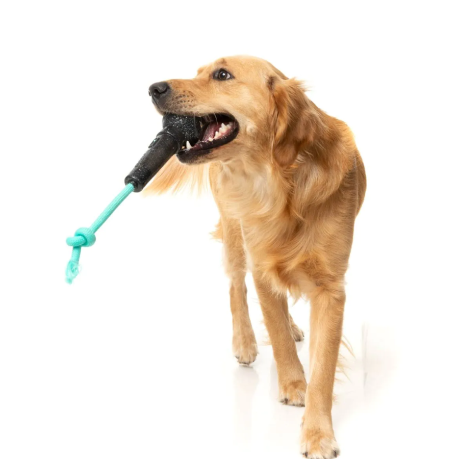 Mic Drop - Interactive Chew Toy