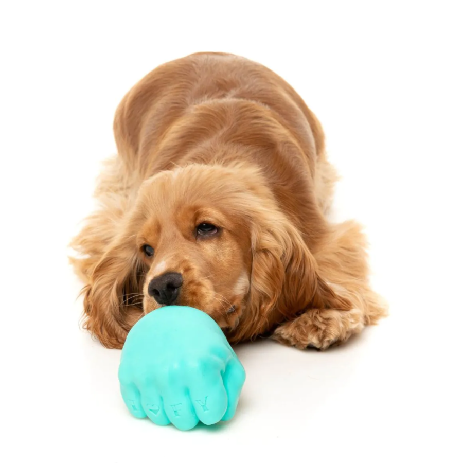 Knuckle Sandwich - Interactive Chew Toy