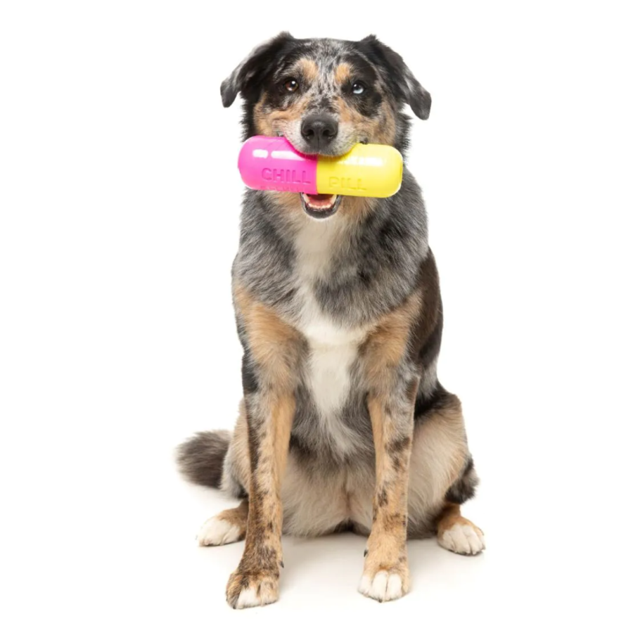 Chill Pill - Interactive Chew Toy