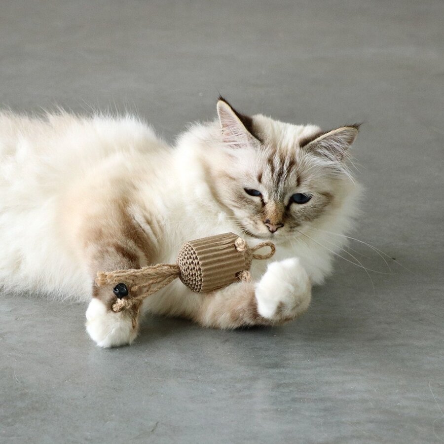 Pahvi Kartonnen speeltjes