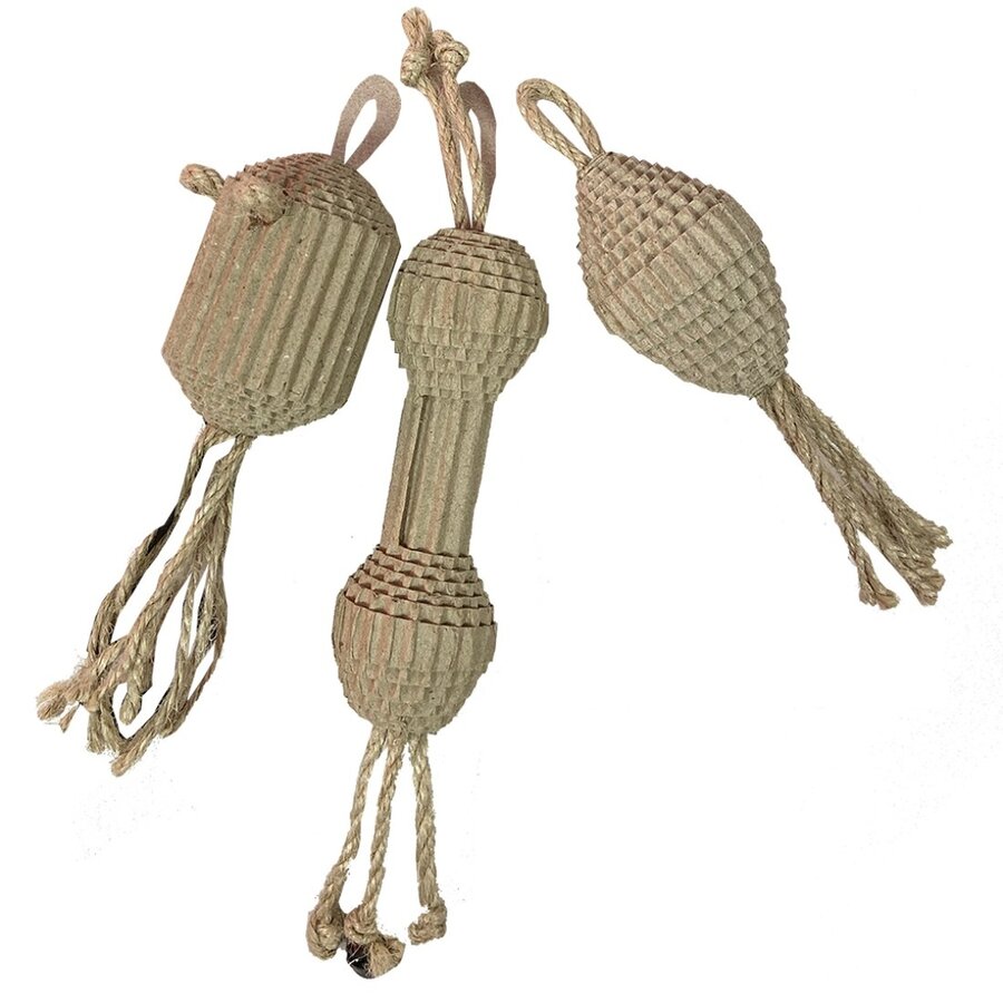 Pahvi Kartonnen speeltjes