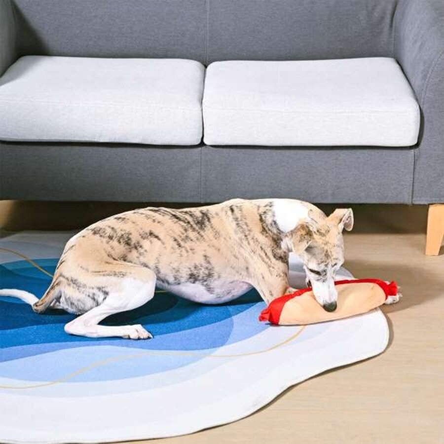 Food Party Shaky HotDog