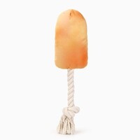 Beach Daze Orange Popsicles