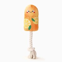 Beach Daze Orange Popsicles